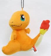 駿河屋 中古 ヒトカゲ Myポケモンコレクション ぬいぐるみ 旅立ちの仲間たち ポケットモンスターxy ぬいぐるみ