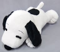 駿河屋 中古 スヌーピー ギガジャンボふわふわ寝そべりぬいぐるみ Peanuts Snoopy ぬいぐるみ