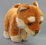 駿河屋 中古 柴犬 ぬいぐるみ S リアルドッグコレクション ぬいぐるみ