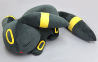 駿河屋 中古 すやすやブラッキー ぬいぐるみ イーブイコレクション17 ポケットモンスター ポケモンセンター限定 ぬいぐるみ
