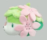 駿河屋 中古 シェイミ ポケモンセンター周年記念 もっちりぬいぐるみ ポケットモンスター ポケモンセンター限定 ぬいぐるみ