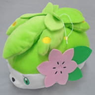 駿河屋 中古 シェイミ ポケモンフォーカス 幻のポケモン でっかいぬいぐるみ ミュウ マナフィ シェイミ ポケットモンスター サン ムーン ぬいぐるみ