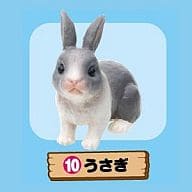 うさぎ 「ぷちどうぶつシリーズ ドキドキ飼育係」 