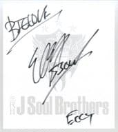 駿河屋 中古 Elly 三代目j Soul Brothers メンバーソロ直筆サイン色紙 特大アーティーストカード Cd Fighters Exile Mobile Exile Tribe Mobile会員限定先着購入特典 紙製品その他