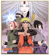 駿河屋 中古 集合 Naruto ナルト 疾風伝 ミニ色紙コレクション ジャンプフェスタ19グッズ 紙製品その他