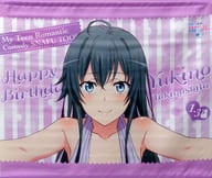 駿河屋 中古 雪ノ下雪乃 Birthday記念b3タペストリー やはり俺の青春ラブコメはまちがっている 続 アニまるっ 限定 タペストリー