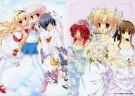 駿河屋 中古 仁村有志イラスト Fair Child 柏餅よもぎ 他イラスト リバーシブル下敷き マジキューvol 40付録 下敷き