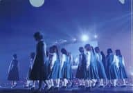欅坂46 A5ミニクリアファイル 「Blu-ray/DVD 僕たちの嘘と真実 Documentary of 欅坂46」 タワーレコード購入特典
