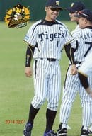 阪神タイガース/鳥谷敬/全身・ユニフォーム白.黒・右向き・「Tigers 2014.02.01」・ポストカードサイズ/公式生写真