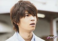 駿河屋 中古 ジャニーズjr 高田翔 横型 顔アップ 右向き 2lサイズ Blu Ray Dvd Box 青春探偵ハルヤ 初回封入特典オリジナルフォトセット ジャニーズ