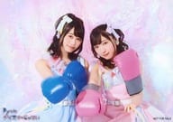 駿河屋 中古 Pyxis 豊田萌絵 伊藤美来 Cd ダイスキ じゃない とらのあな特典ブロマイド 女性声優