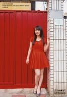 駿河屋 中古 水樹奈々 写真集 Live Forever Nana Mizuki Live Document Book 特別限定版 とらのあな特典生写真 女性声優