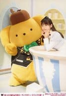 駿河屋 中古 上坂すみれ 上半身 左向き 衣装水色 白 カウンターに肘付き 左側にポムポムプリン 革ブロ5周年記念集会 サンリオピューロランド会談 ブロマイドセット 女性声優
