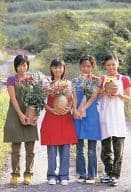 駿河屋 中古 No 028 Max 集合 4人 ライジングプロダクション公式ブロマイド その他女性
