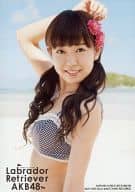駿河屋 中古 渡辺美優紀 水着 上半身 Cd ラブラドール レトリバー 通常盤特典 Nmb48