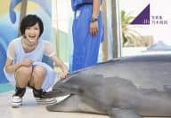 駿河屋 中古 No 1 生駒里奈 写真集 乃木坂派 応募特典生写真 乃木坂46