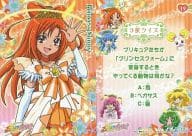 駿河屋 中古 19 プリンセスサニー アニメ ゲーム