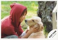 駿河屋 中古 Kat Tun 上田竜也 横型 上半身 赤色のフード付きパーカー 体右向き 両手犬の頭掴み 笑顔 背景緑 公式生写真 Kat Tun