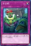 異星の最終戦士 環境の不発地雷 | 遊戯王史 初期から遡る環境の歴史