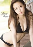 <<ハロプロ>> サイン付)DVD付)モーニング娘。’17 小田さくら 写真集 『Sakura Breeze』