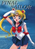 <<セーラームーン>> FINAL SAILOR