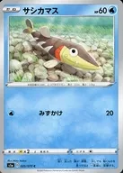 サシカマス