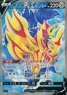 ザマゼンタV