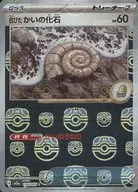 古びたかいの化石